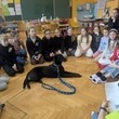 Projektový den třeťáků